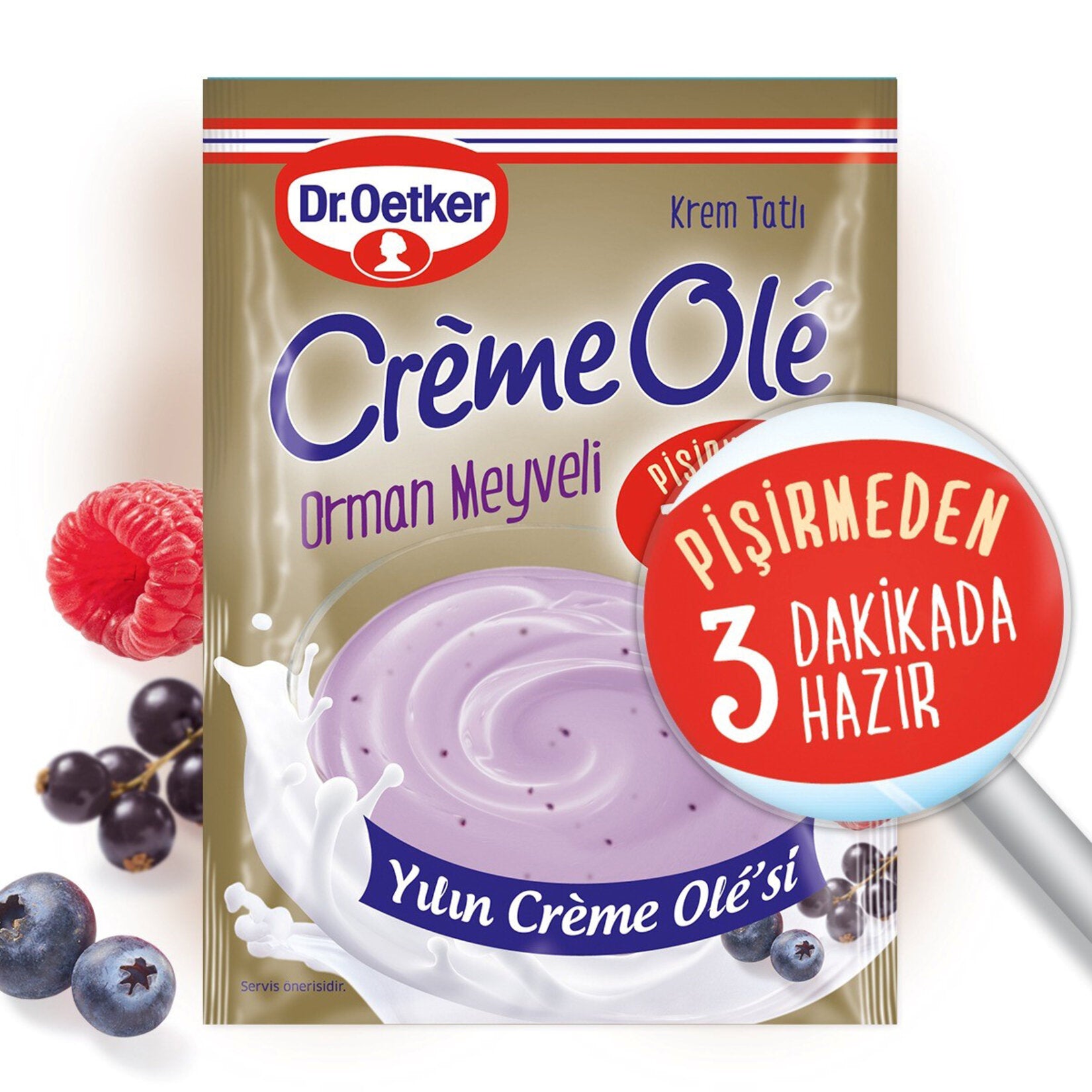 Dr.Oetker Orman Meyveli Creme Ole 89 G