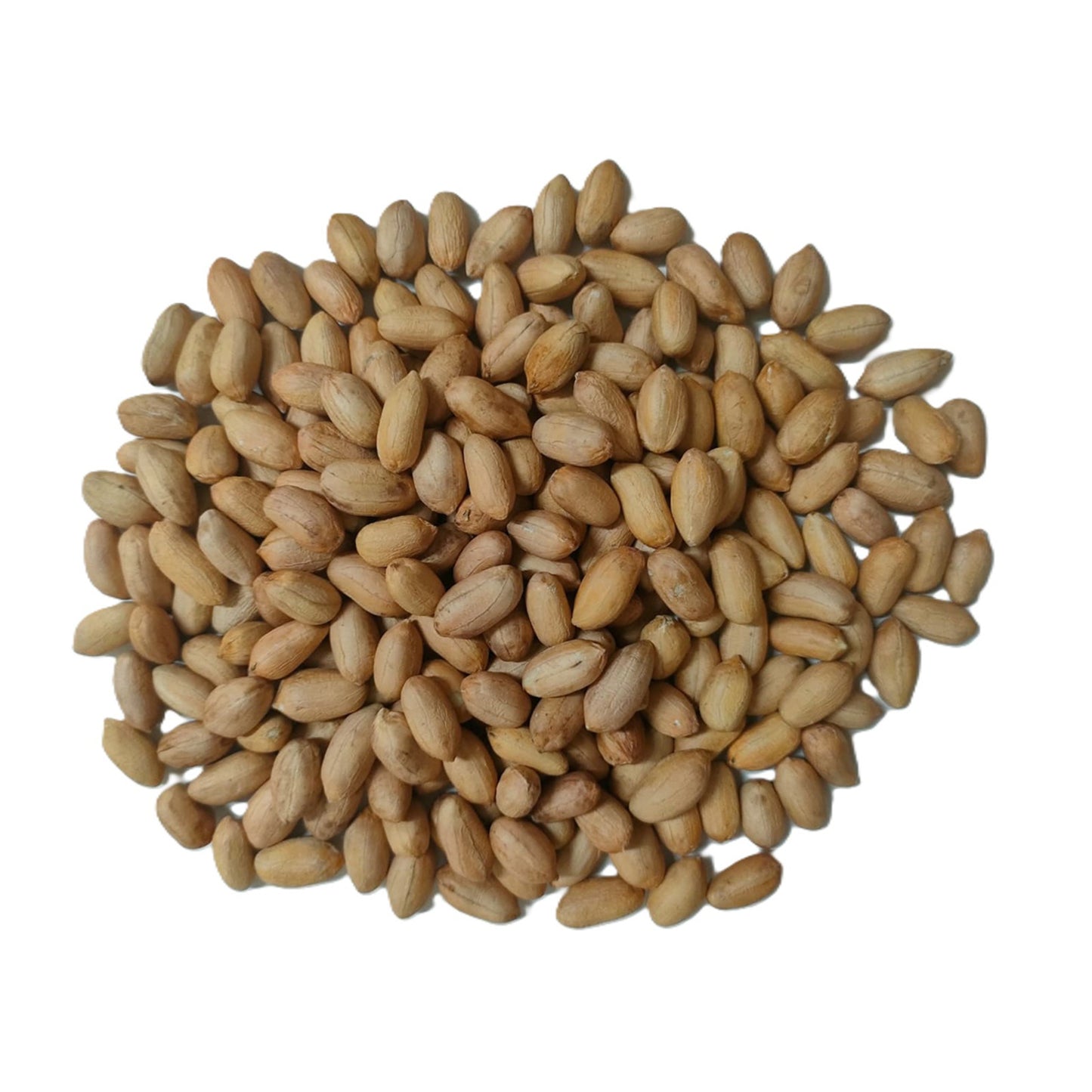 Raw Peanut (Çiğ Yer Fıstığı) Kg